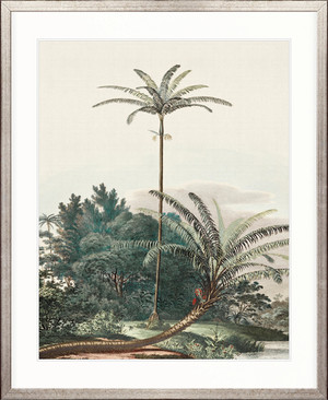 Vintage Palm Study III