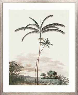 Vintage Palm Study IV