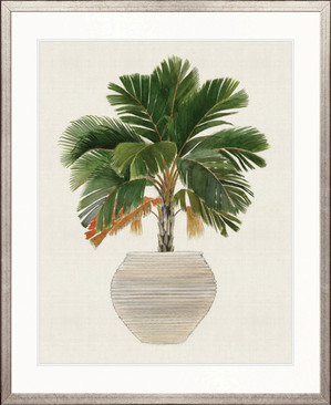 Palm Beauty V