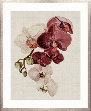 Delicate Orchid Bouquet II