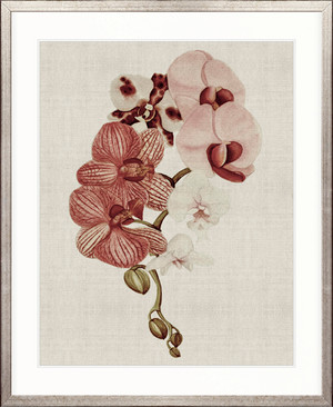 Delicate Orchid Bouquet IV