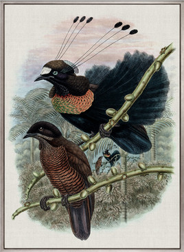 Birds in Paradise III (Canvas)