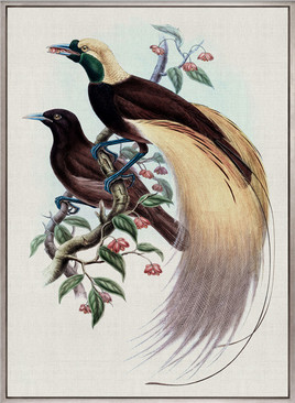 Birds in Paradise IV (Canvas)