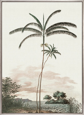Vintage Palm Study IV (Canvas)