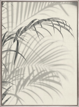 Palm Shadow II (Canvas)