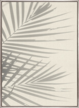 Palm Shadow IV (Canvas)