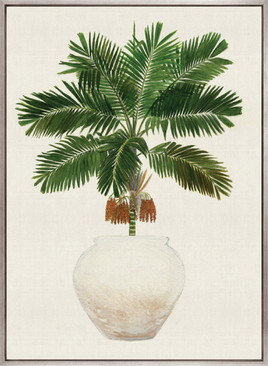 Palm Beauty II (Canvas)