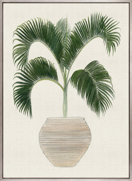 Palm Beauty III (Canvas)