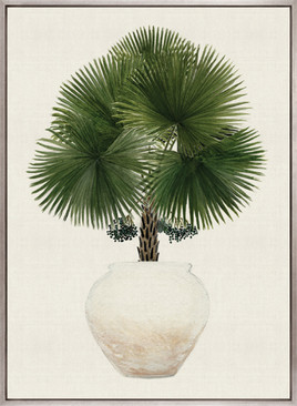Palm Beauty IV (Canvas)