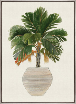 Palm Beauty V (Canvas)