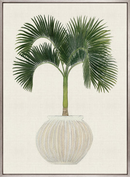 Palm Beauty VI (Canvas)