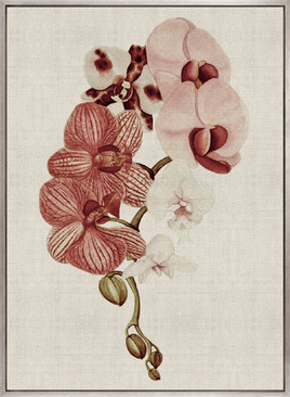 Delicate Orchid Bouquet IV Canvas