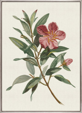 Floral Elegance VII (Canvas)