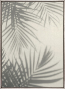 Palm Shadow I (Canvas)