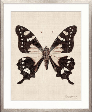 Fanciful Butterfly VII
