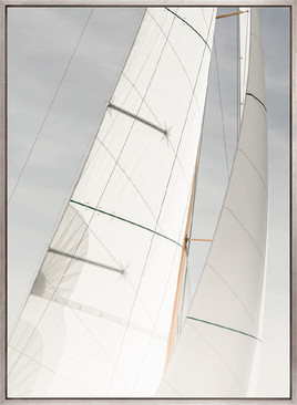 Whittington Sail I (Canvas)