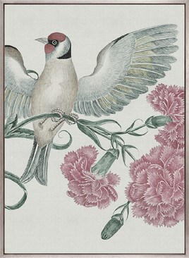 Ariala Bird I (Canvas)