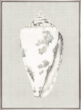 Shell on Linen I (Canvas)