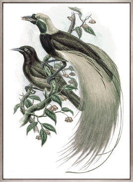 La Romieu Bird I (Canvas)