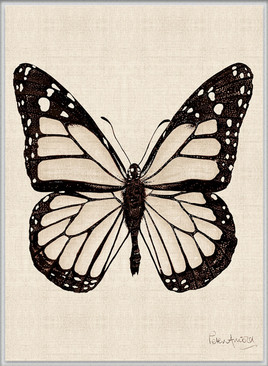 Fanciful Butterfly VIII (Canvas)