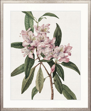 Phillipson Floral II