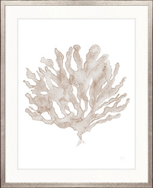 Soft Caribbean Coral V