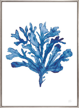 St Regis Coral II (Canvas)