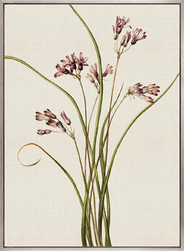 Floral Medley VII (Canvas)