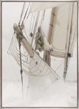 Whittington Sail V (Canvas)