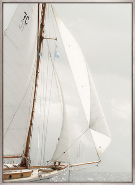 Whittington Sail VI (Canvas)