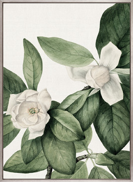 Phillipson Floral VI (Canvas)