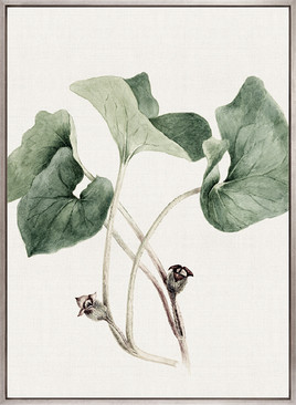 Phillipson Floral IX (Canvas)