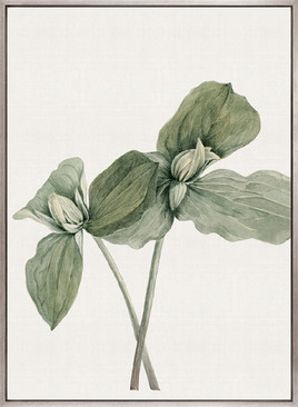 Phillipson Floral X (Canvas)