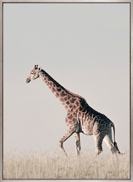 Wild Safari II (Canvas)