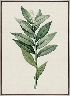 Tiverton Floral III (Canvas)