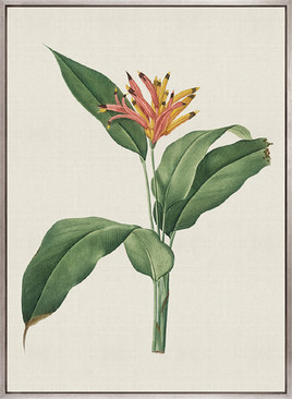 Tiverton Floral VI (Canvas)