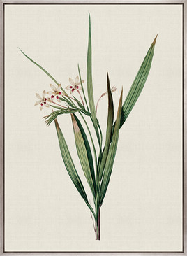 Tiverton Floral VII (Canvas)