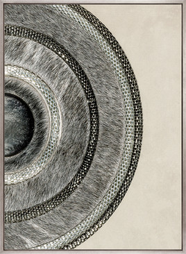 Concentric Circle Print IV (Canvas)
