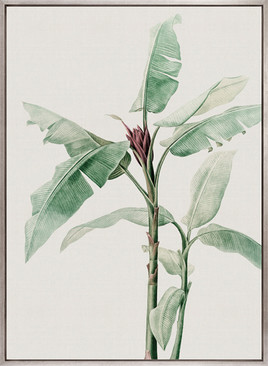 Bellevardi Tropic V (Canvas)