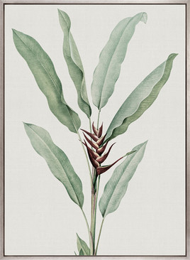 Bellevardi Tropic VI (Canvas)
