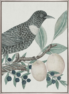 Ariala Bird VI (Canvas)