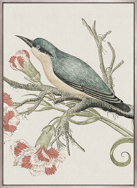 Ariala Bird VII (Canvas)