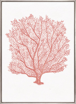 Ashford Soft Coral III (Canvas)