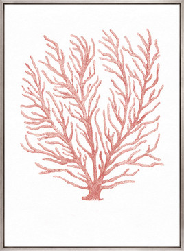 Ashford Soft Coral IV (Canvas)