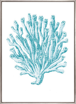 Ashford Soft Coral X (Canvas)