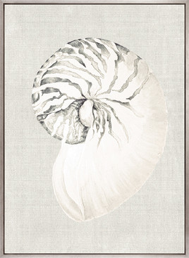 Shell on Linen II (Canvas)