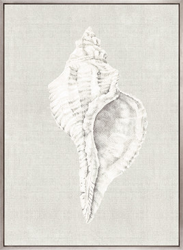 Shell on Linen V (Canvas)