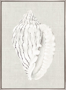 Shell on Linen VI (Canvas)