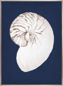 La Mesa Bay Shell III (Canvas)
