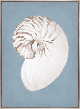 La Mesa Bay Shell VI (Canvas)